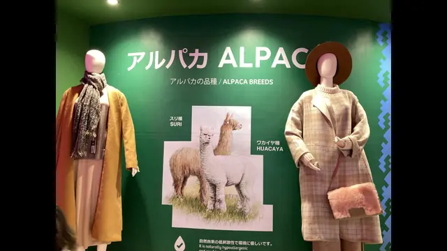 式典の様子
